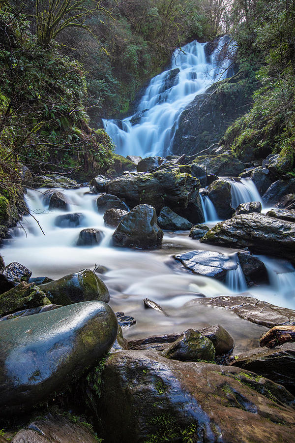 Torc Waterfall Killarney National Park Photograph by John McGraw