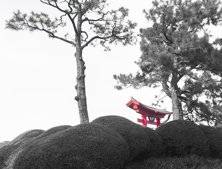 Torii Photograph by Aaron Geraud