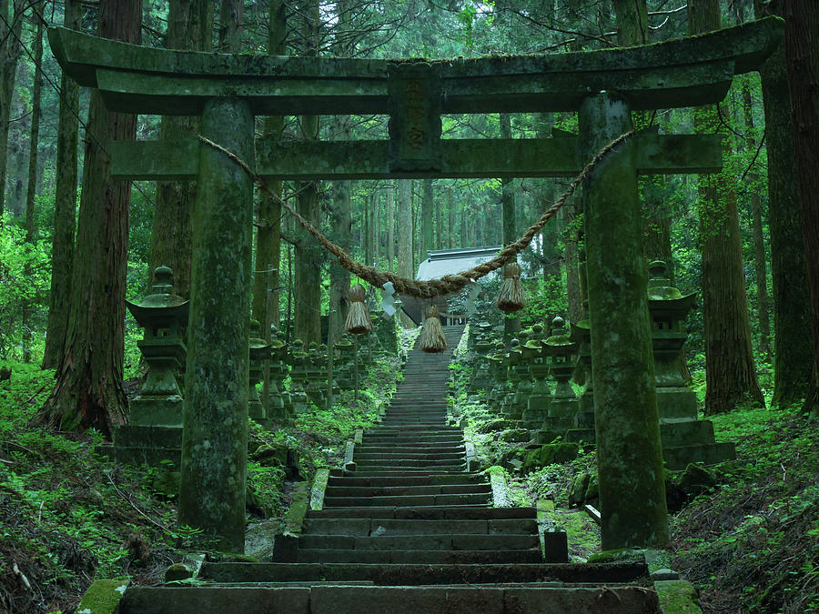 Nature Photograph - Torii, Divine Gate In Dark Forest by Yusuke Nakamoto