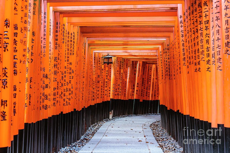 Torii gates, Fushimi Inari Shrine, Kyoto, Japan Photograph by Matteo Colombo
