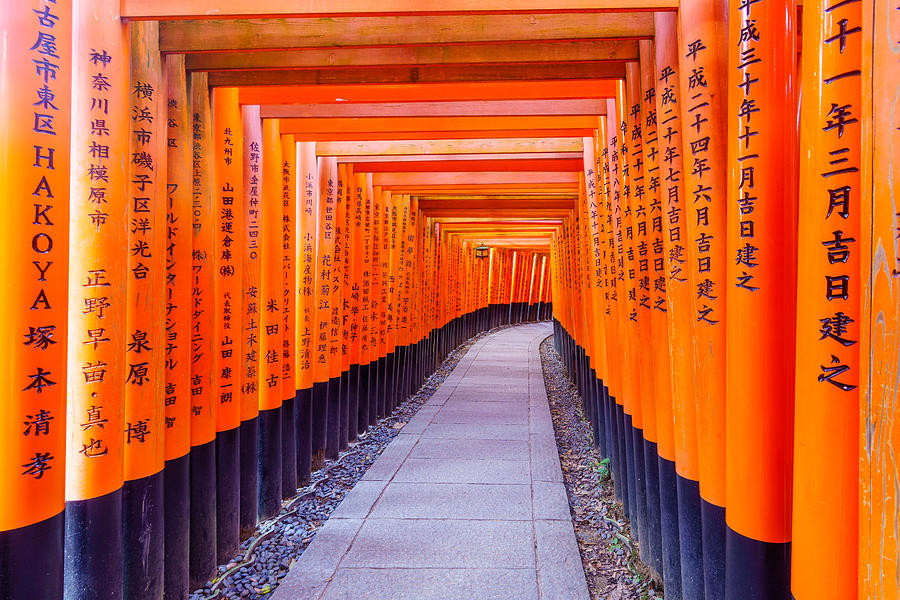 Torii Gates, Inari Mountain, In Kyoto Photograph By Ran Dembo - Fine 