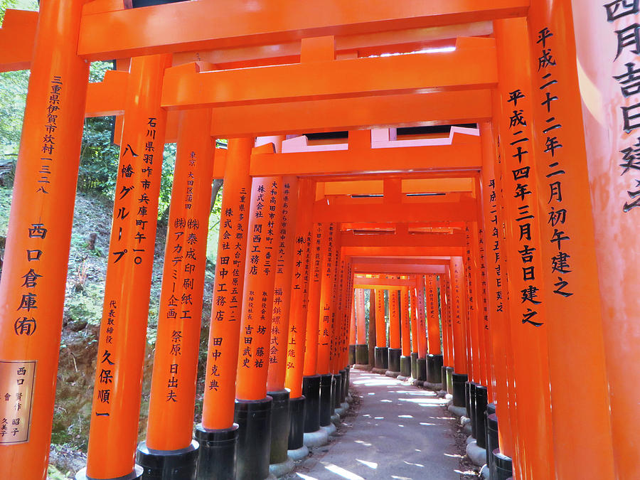 Torii Gates Of Kyoto Photograph By Jane Loomis