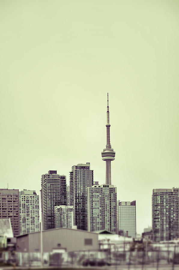 Toronto Skyline Photograph by Driendl Group