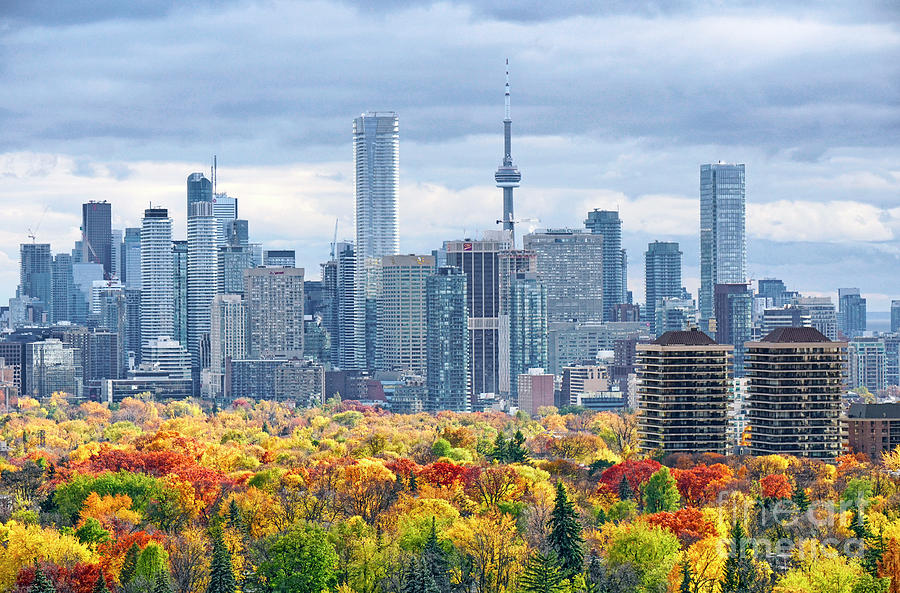 Toronto Skyline Fall Colors 2018 Photograph by Charline Xia