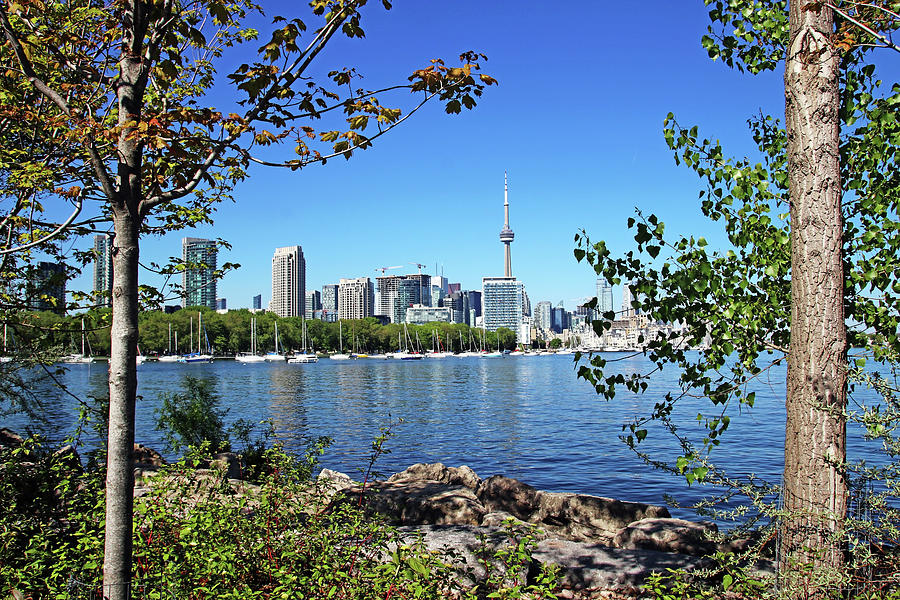 Toronto Waterfront Photograph by Debbie Oppermann