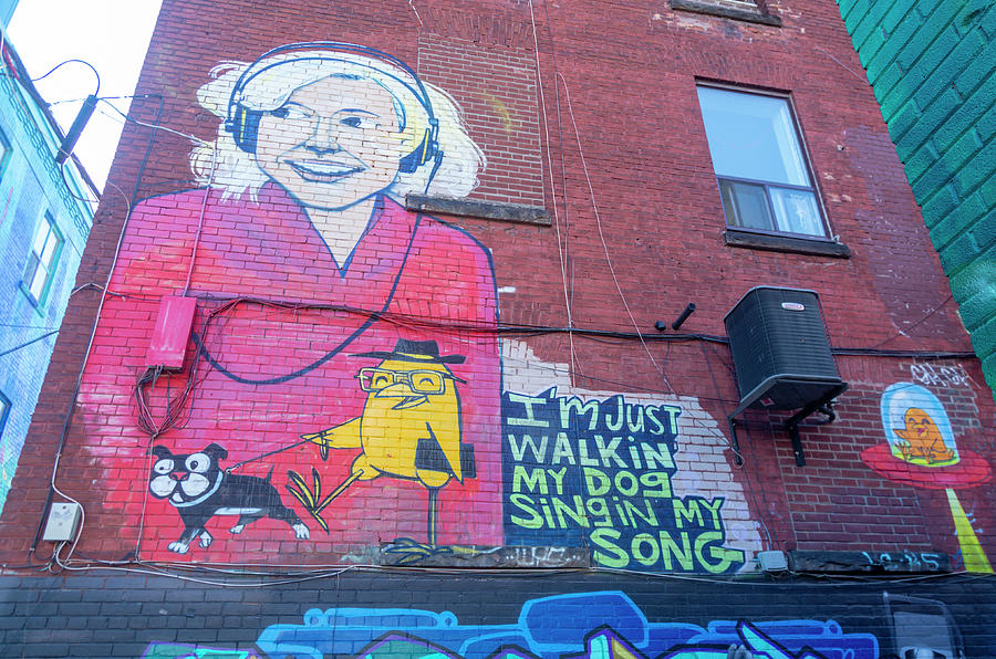 Toronto's Graffiti Alley 22 Photograph by Bob Corson | Fine Art America