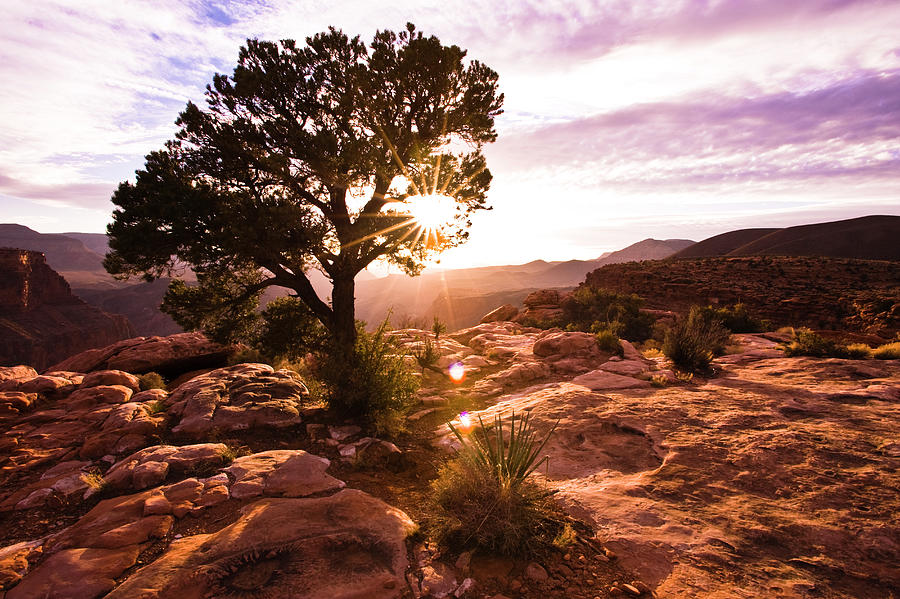 Toroweap Overlook,az Photograph by Morey Milbradt