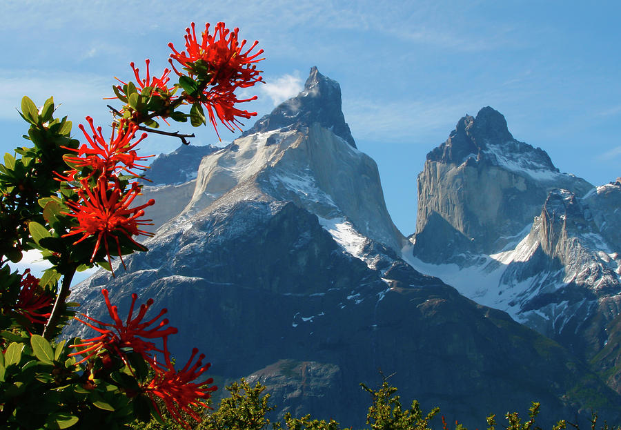 Torres Del Paigne Mountains Chile Photograph by Doug88888