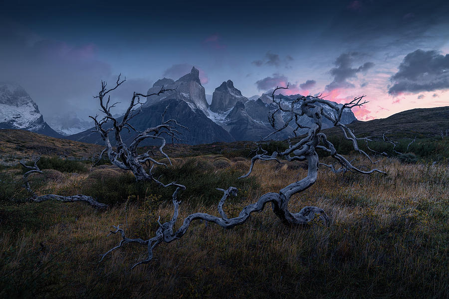 Torres Del Paine Photograph by Christian Scheiffele