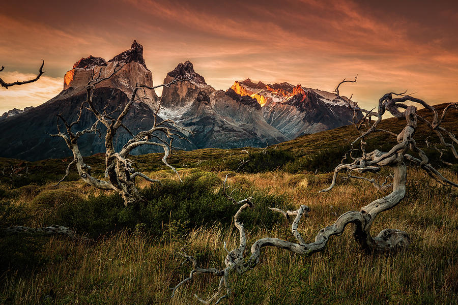 Torres Del Paine In Sunrise Photograph by Jie Jin - Fine Art America