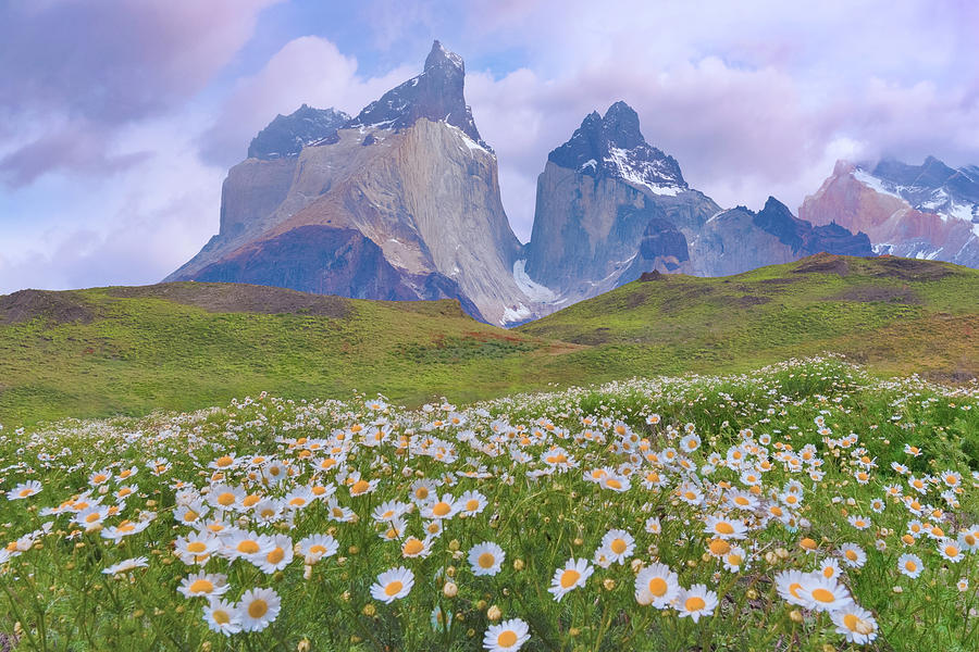 Torres del Paine National Park Photograph by Giovanni Allievi | Fine ...