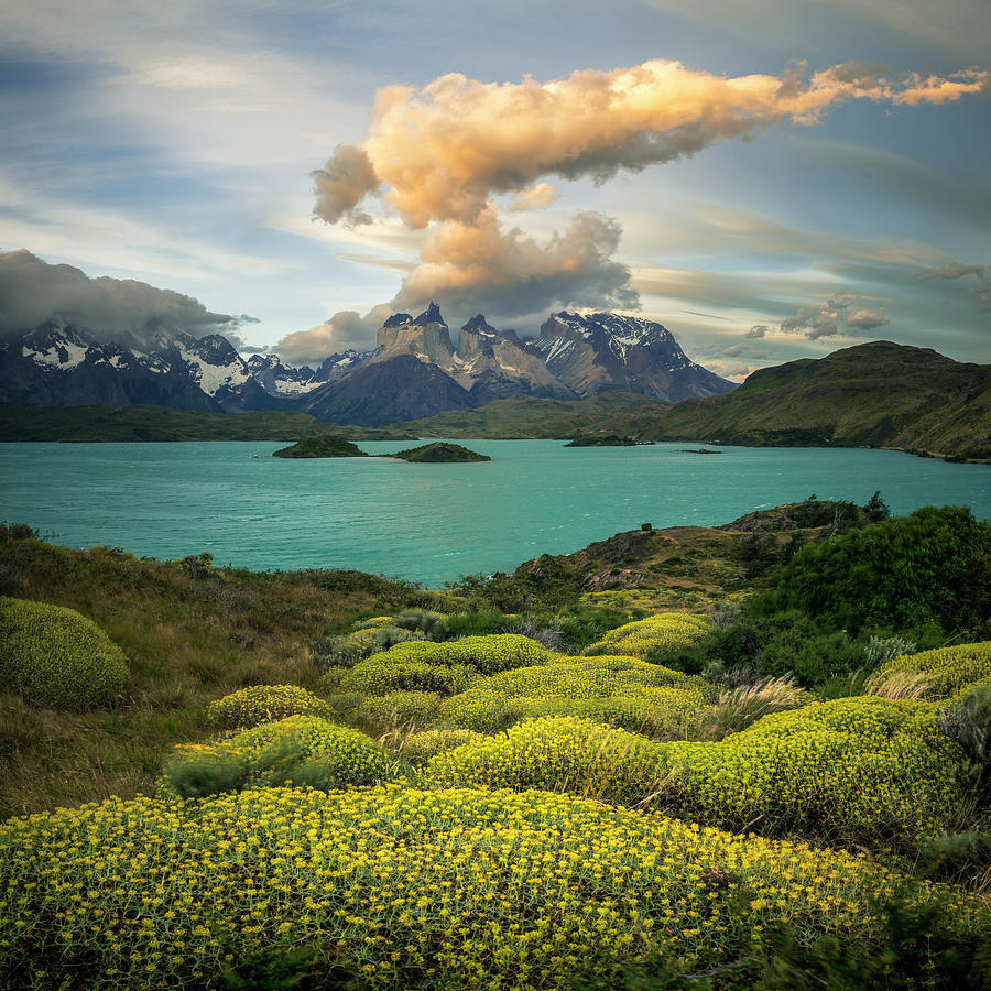 Torres Del Paine Photograph by Ted Hesser