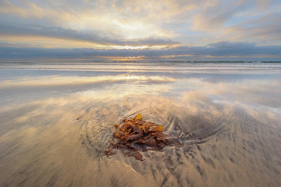 Torrey Pines - Christmas Day Sunset by Alexander Kunz Torrey Pines - Christmas Day Sunset by Alexander Kunz