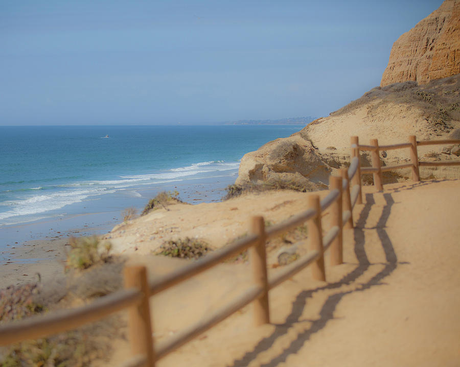 Torrey Pines Cliff Ocean View Photograph by Catherine Walters