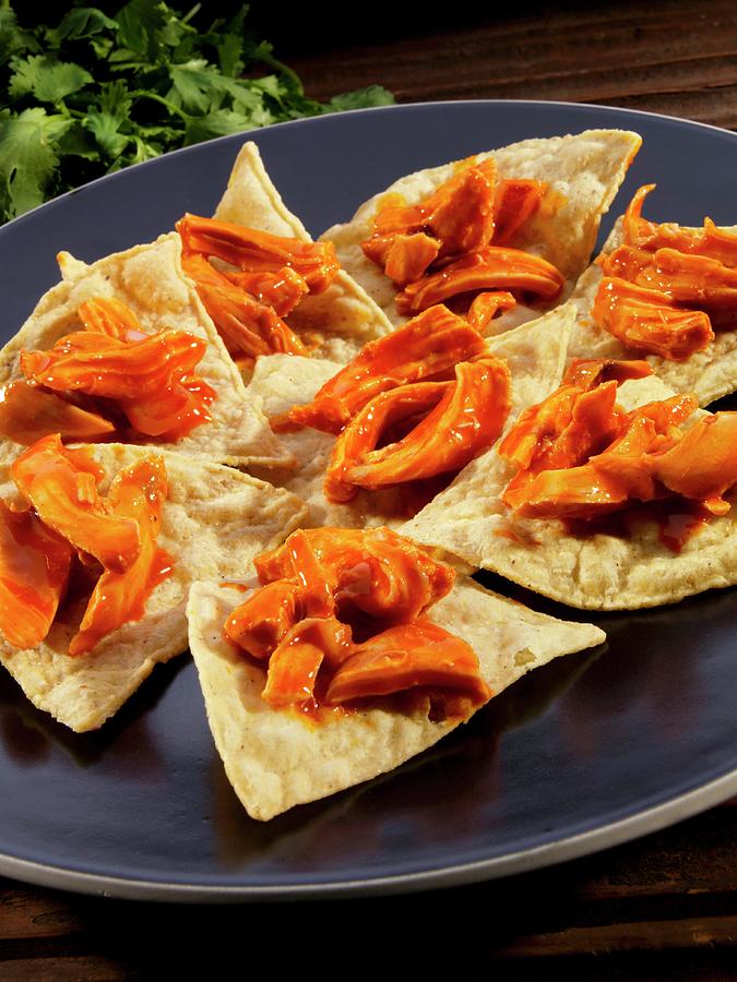 Tortilla Chips With Pulled Chicken In Chipotle Sauce mexico Photograph by Paul Poplis Fine Art