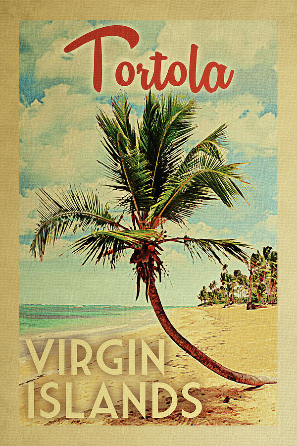 Summer Digital Art - Tortola Virgin Islands Palm Tree by Flo Karp