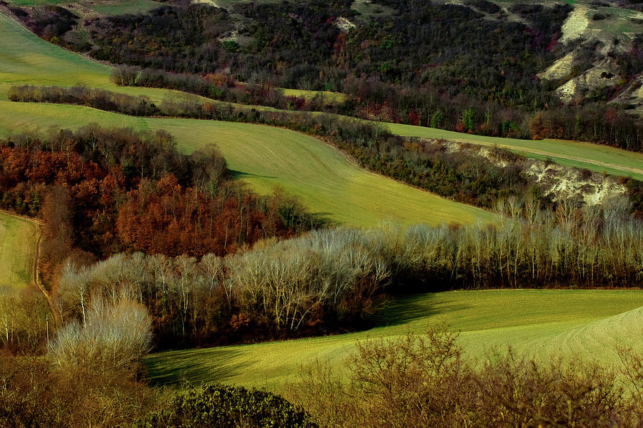 Toscana In Autumn Photograph by Massimo Pelagagge