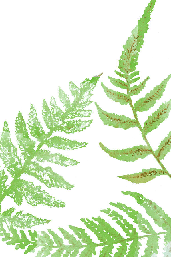 Tossed Painting - Tossed Ferns II by Janice Gaynor