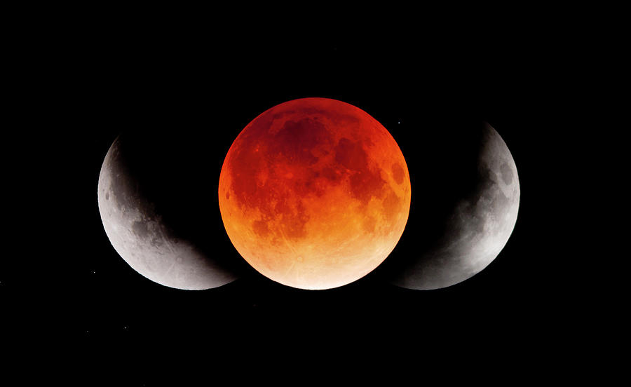 Total Lunar Eclipse & Shadow Of The Photograph By Naoyuki Noda