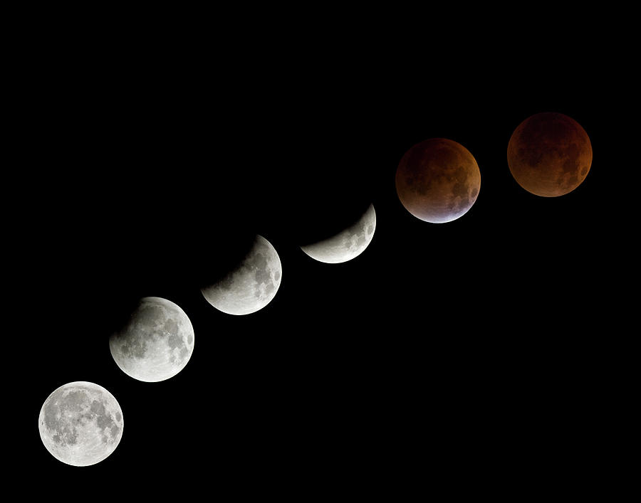 Total Lunar Eclipse, 28 August 2007 Photograph by Diane Miller
