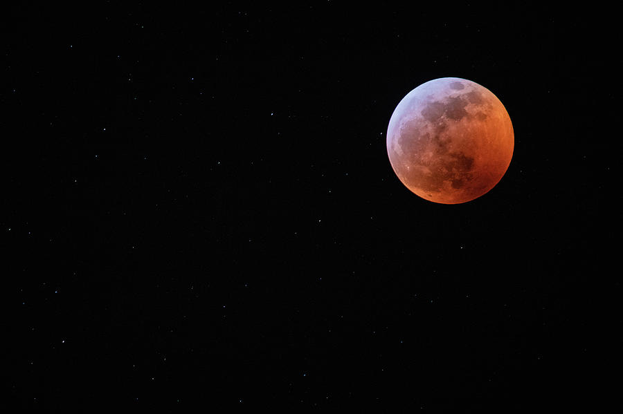 Total Lunar Eclipse Among the Stars Photograph by Tony Hake
