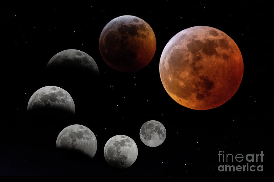 Total Lunar Eclipse Photograph by Amfmgirl Photography