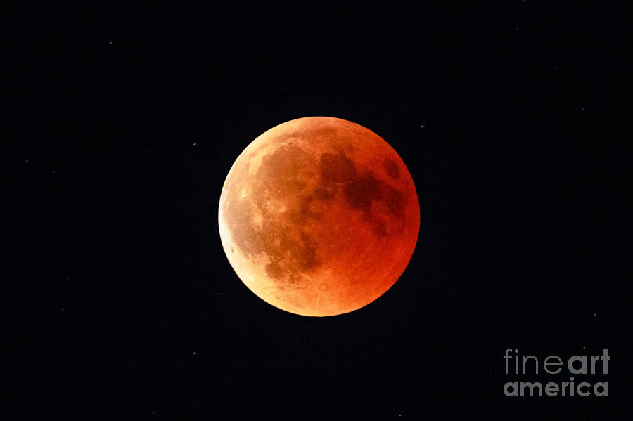 Total red lunar eclipse Photograph by Benny Marty