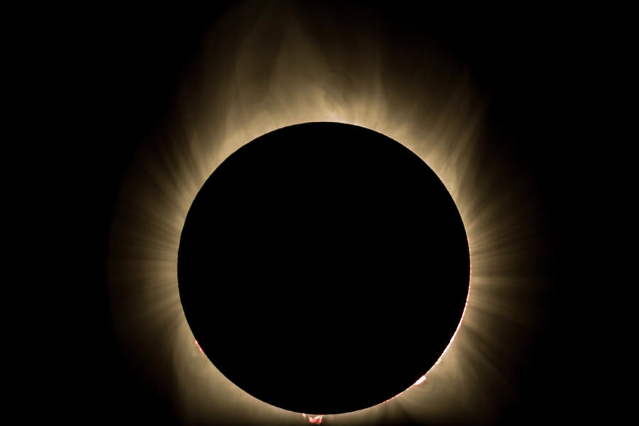 Total Solar Eclipse Corona Photograph by Steve Ferro