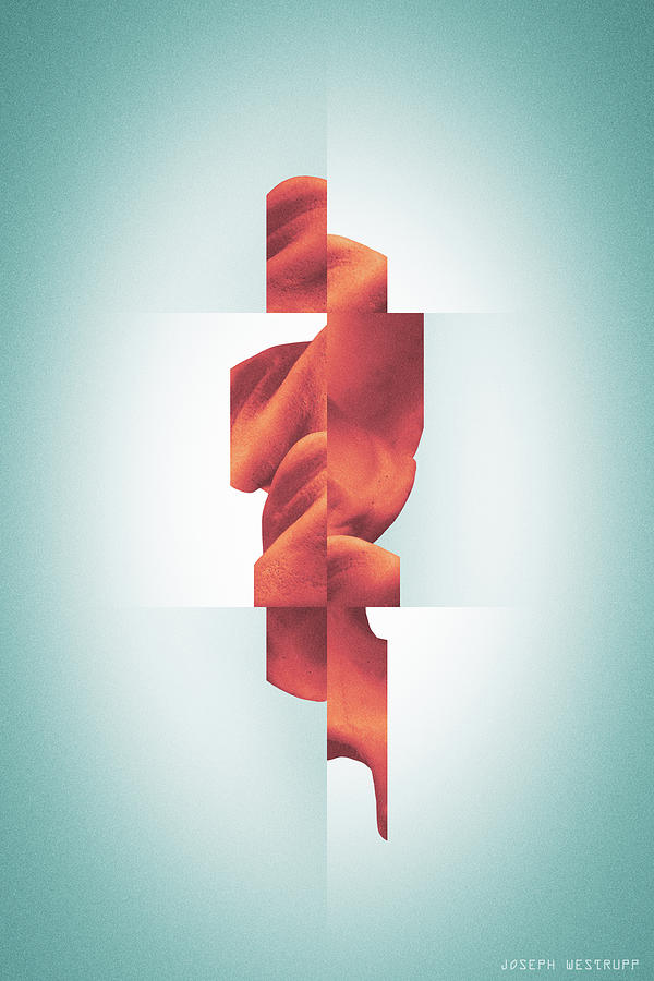 Totem - Fractured Surreal Abstract Seashell Collage by Joseph Westrupp Totem - Fractured Surreal Abstract Seashell Collage by Joseph Westrupp