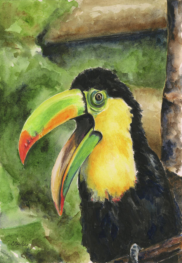 Toucan Painting - Toucan Bill by Charlsie Kelly