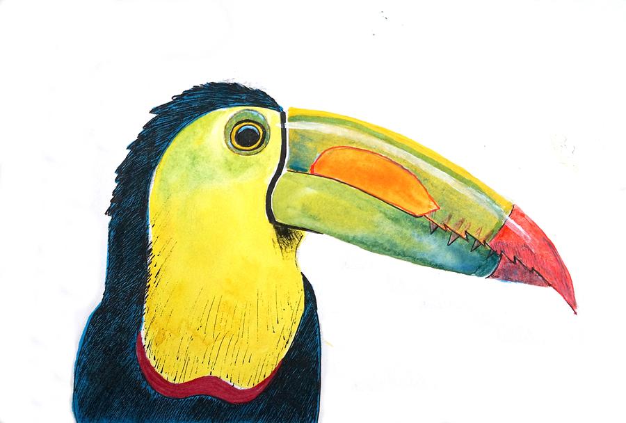 Toucan Painting - Toucan by Ed Tajchman Toucan Painting - Toucan by Ed Tajchman