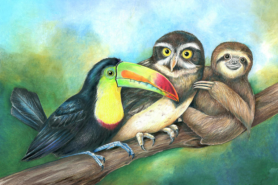 Toucan Painting - Toucan Owl Sloth by Mindy Lighthipe- Artist Llc