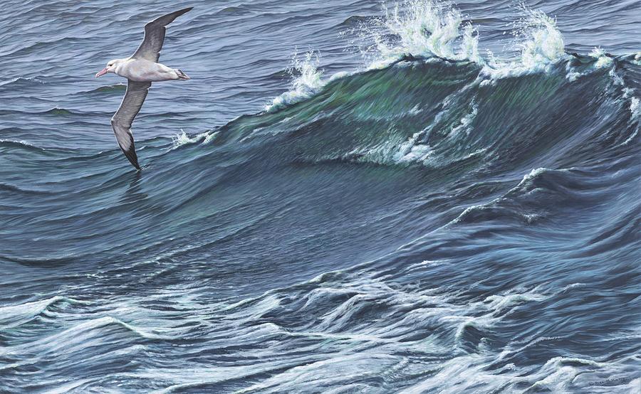 Touching the waves - Seabird painting by Alan M Hunt Painting by Alan M Hunt