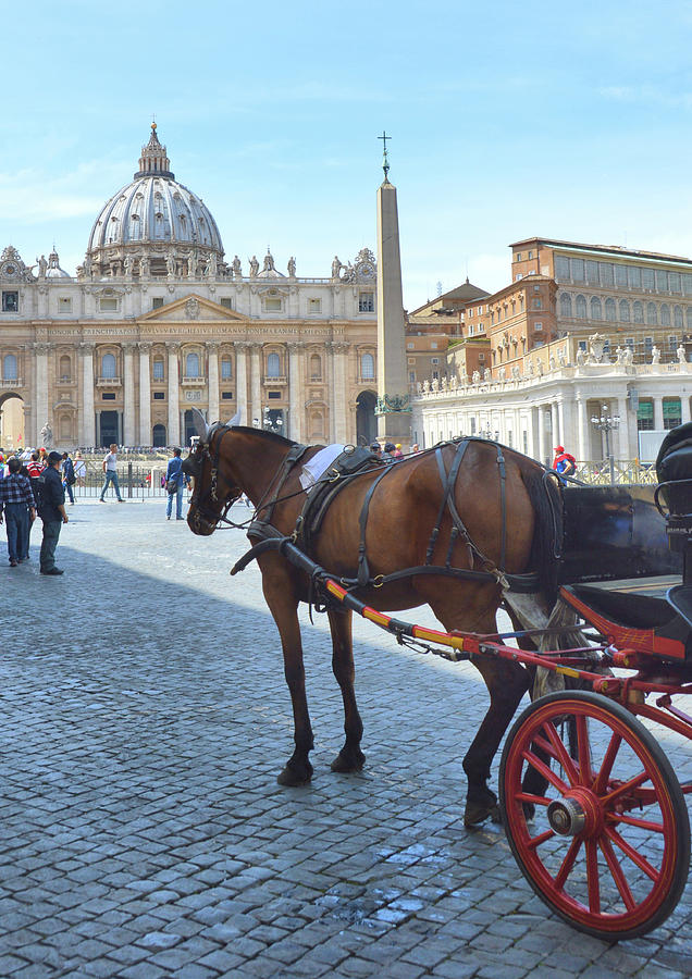Tour Vatican City Photograph by Dressage Design