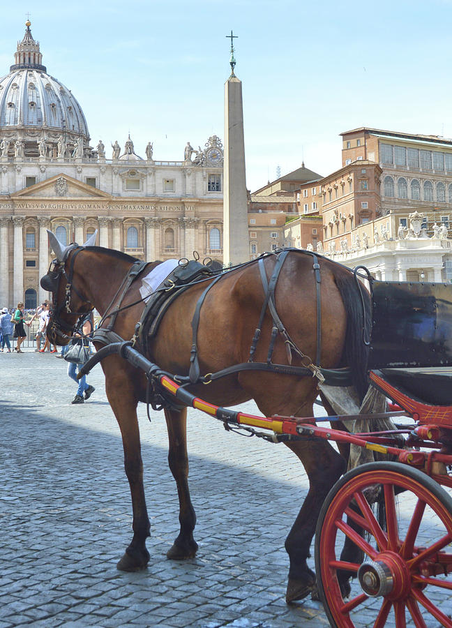 Horse Photograph - Tour Vatican City by JAMART Photography