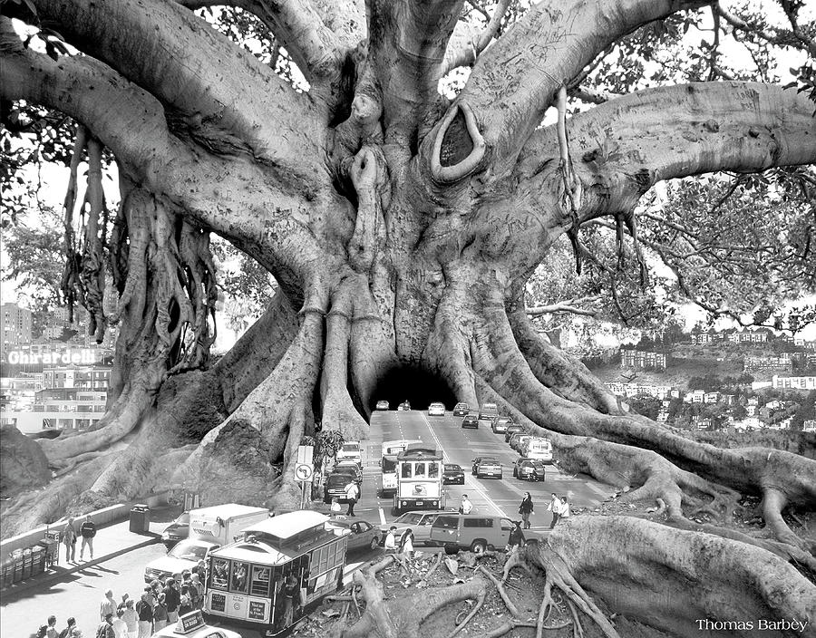 Tree Mixed Media - Tourist Trap by Thomas Barbey