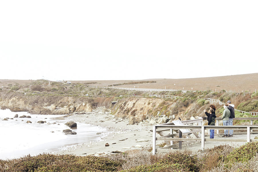 Tourists On Observation Deck To Watch Sea Lions On Highway 1, California, Usa. Photograph by Julia Franklin Briggs