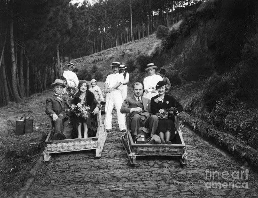 Tourists Ride Guided Sledges Downhill Photograph by Bettmann