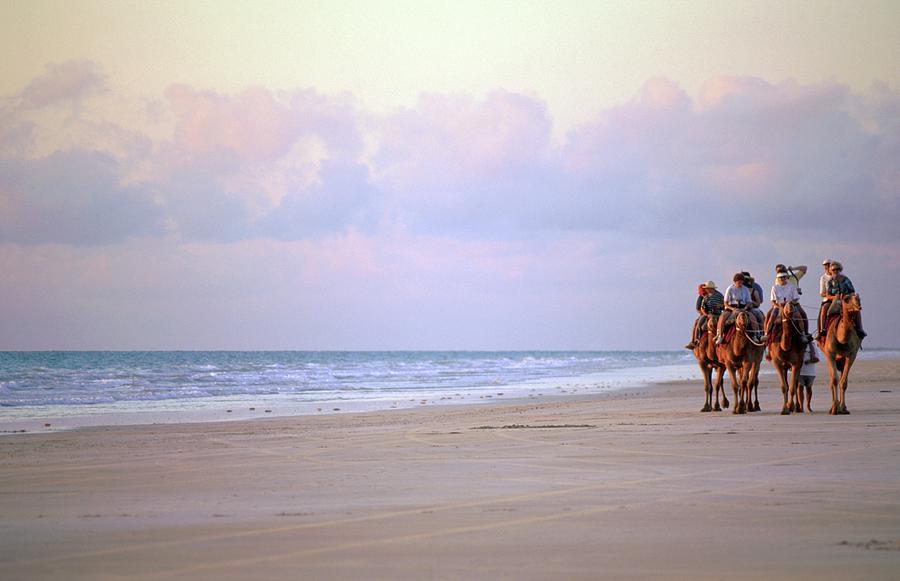 Tourists Riding Camels On The Beach Photograph by Travel Ink Tourists Riding Camels On The Beach Photograph by Travel Ink