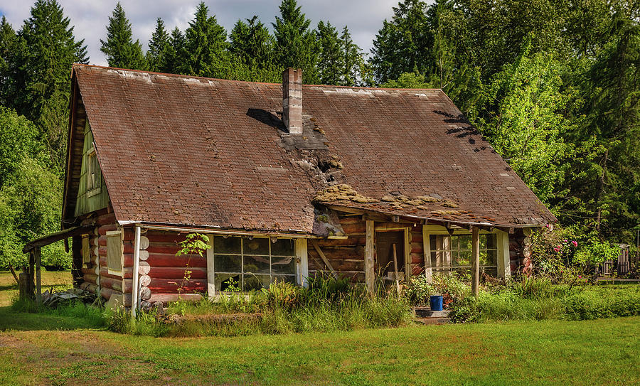 Toutle Washington Log Home Photograph by Mike Penney | Fine Art America