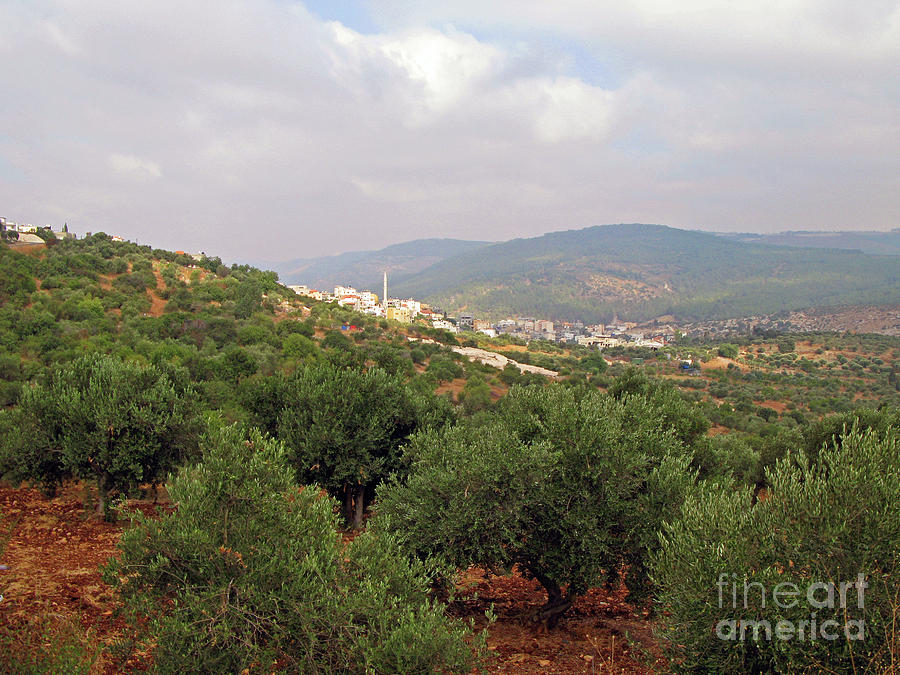 Towards Mount Tabor 1 Photograph by Nieves Nitta