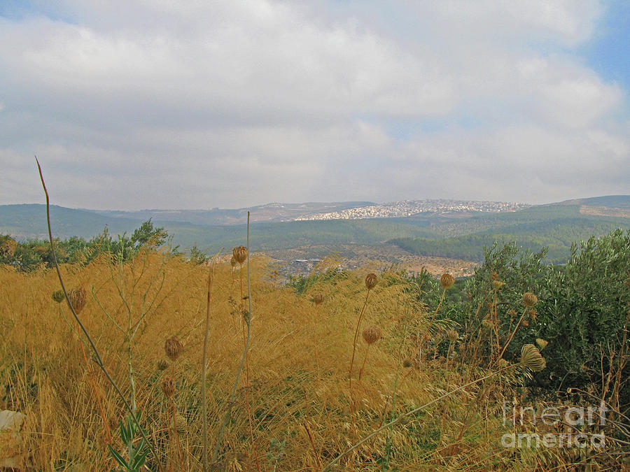 Towards Mount Tabor 2 Photograph by Nieves Nitta