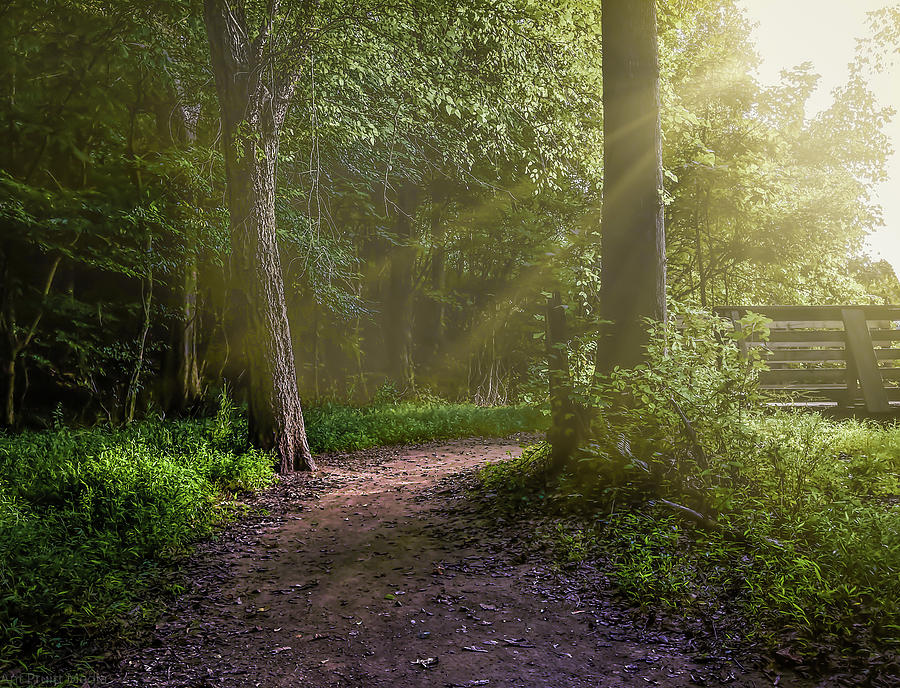 Towards The Light by Ant Pruitt Towards The Light by Ant Pruitt