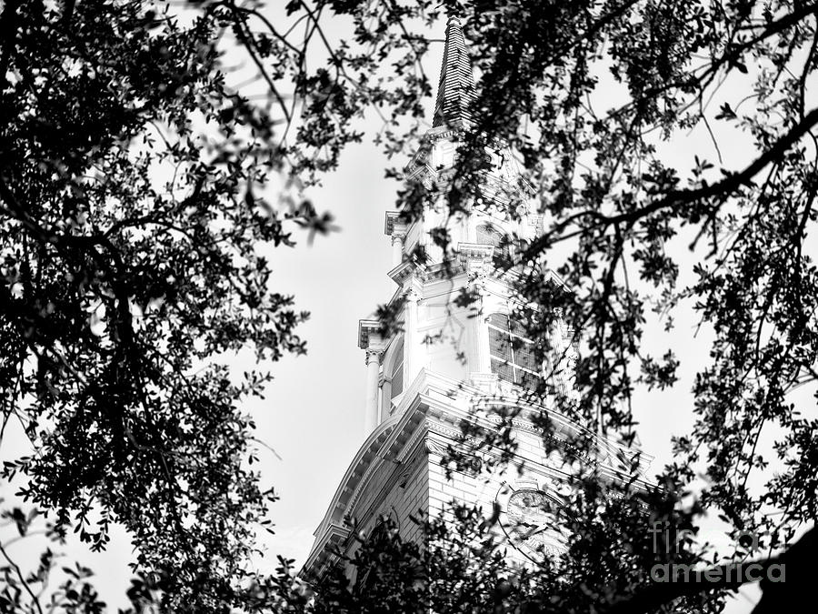 Tower Behind the Trees in Savannah Photograph by John Rizzuto