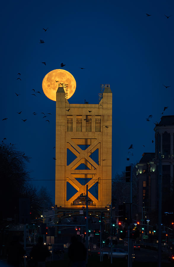 Sacramento Photograph - Tower Bridge Full Moon by Lian Tang
