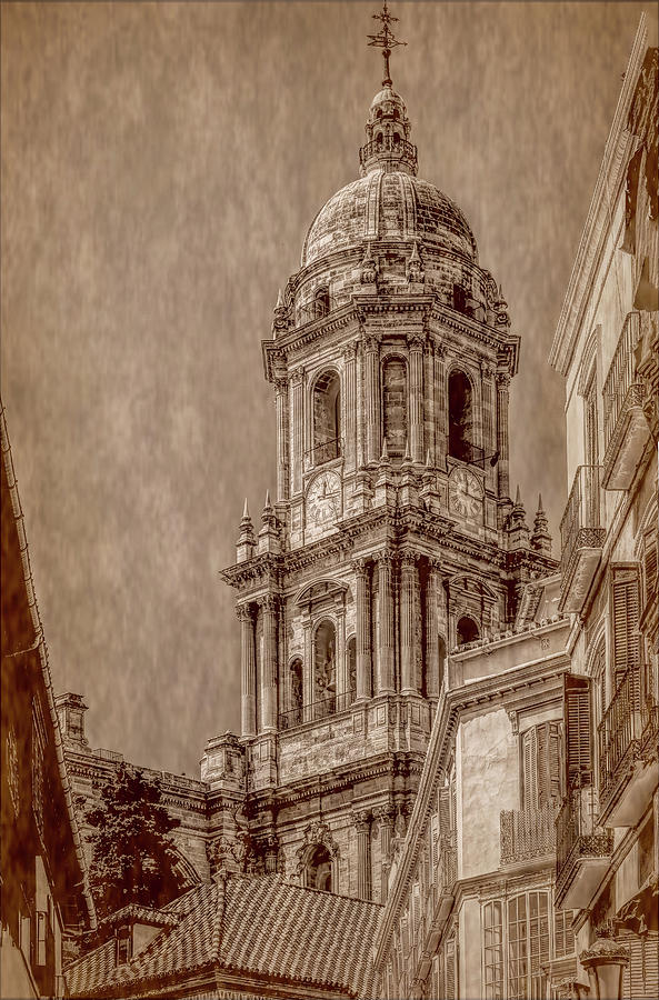 Towering Above Malaga, Sepia Vertical Photograph by Marcy Wielfaert