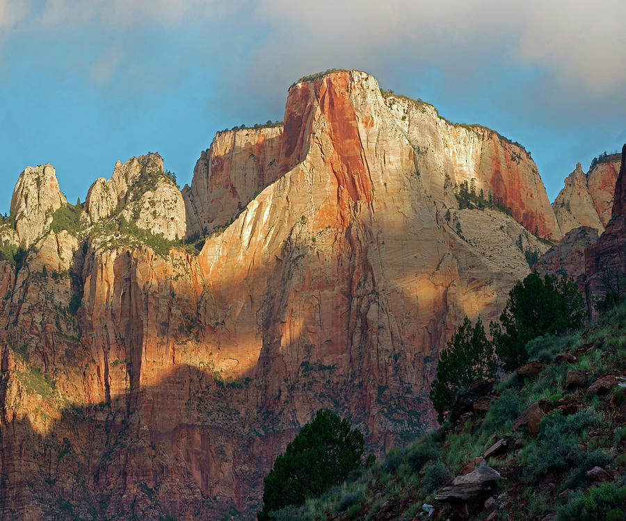 Towers Of The Virgin, Zion National Park, Utah Photograph by Tim Fitzharris