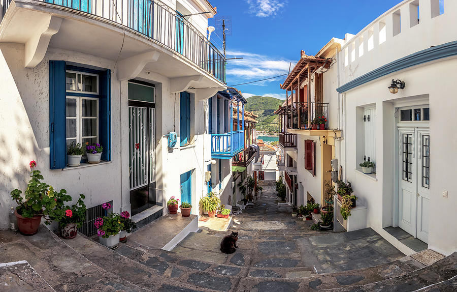 Town Of Skopelos by Evgeni Dinev Town Of Skopelos by Evgeni Dinev