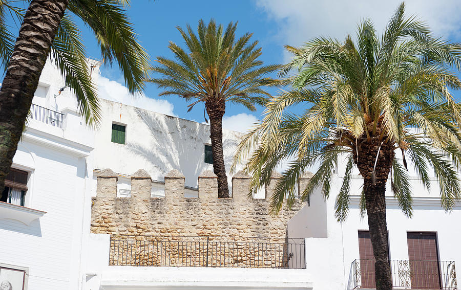 Town Walls with Palm Trees Photograph by Helen Jackson