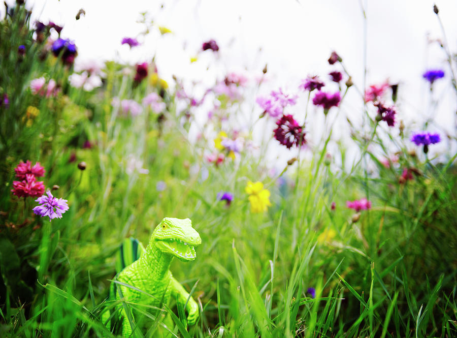 Toy Dinosaur In Garden With Flowers Photograph by Tara Moore